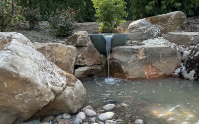 Beyond Installation: Your Full-Service Partner for the Entire Life of Your Water Feature