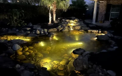 Outdoor Landscape Lighting: Transforming Your Water Garden into a Nighttime Oasis