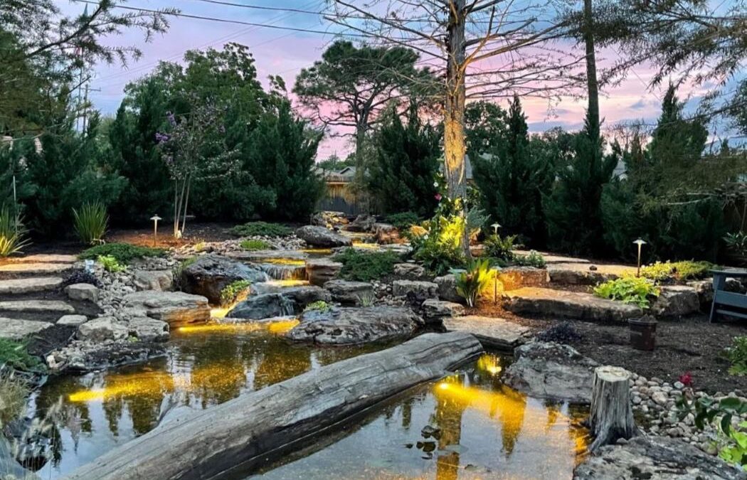 Koi Pond vs. Recreation Pond: Choosing the Right Water Feature for Your South Texas Home