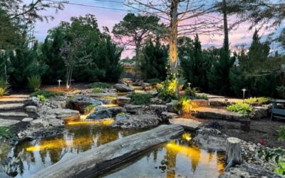 Koi Pond vs. Recreation Pond: Choosing the Right Water Feature for Your South Texas Home