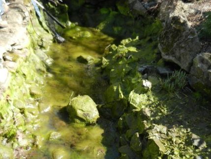 Pearland Texas & La Porte Texas