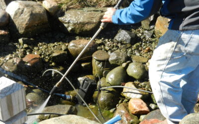 The Essential Annual Spring Cleanout: Why Your Ecosystem Pond Needs Professional Cleaning