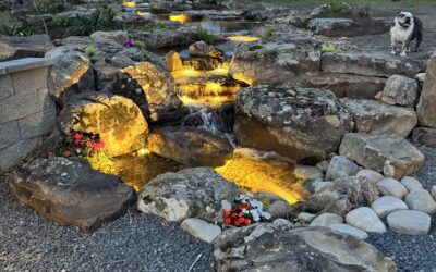 Your Local Water Feature Experts: Serving All of Galveston County and South Texas