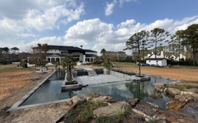 Our Specialty: Custom Ecosystem Water Features for Every South Texas Backyard