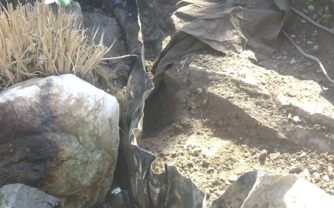 Pond Leaks: Causes, Detection, and Professional Repair in South Texas