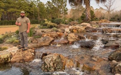 Six Years of Excellence: How Our Experience and Awards Benefit Your Water Feature Project