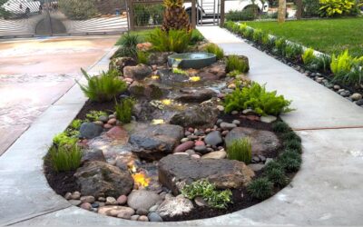What Sets Brothers Water Gardens Apart: The Art of Meticulous Water Feature Design