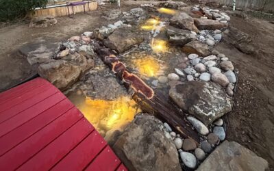 The Disappearing Oasis: What is a Pondless Waterfall and Where Does the Water Go?