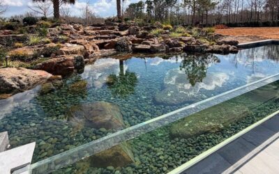 Recreation Pond vs. Swimming Pool: Understanding the Natural, Chemical-Free Difference