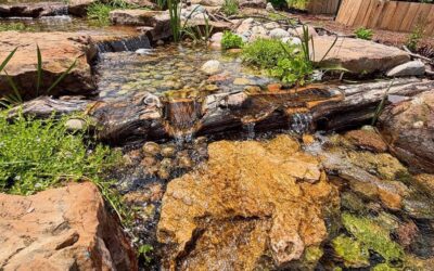 Licensed, Insured, and Certified: Why Trusting Your Pond Project to Professionals Matters