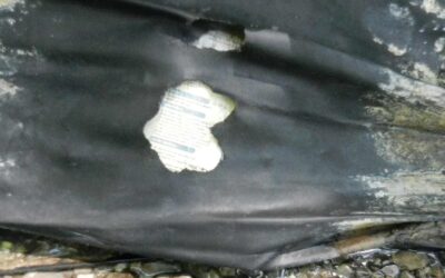 Immediate Action: The First Steps to Take When You Suspect a Pond Leak